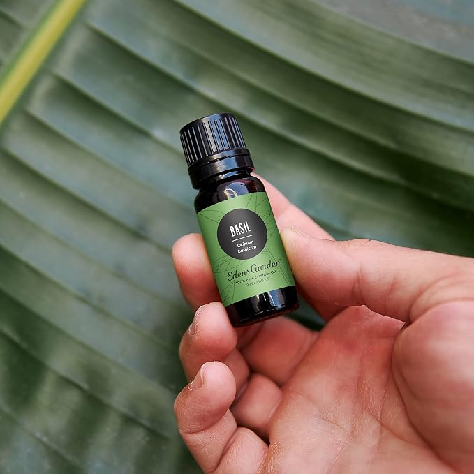 Edens Garden Basil Essential Oil- 100% Pure Premium Grade, Undiluted, Natural, Therapeutic, Aromatherapy, The Best for Diffuser, Skin, Candle, Laundry 10 ml (.33 fl oz)
