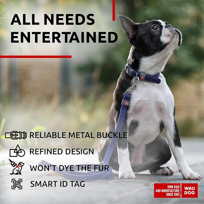 WAUDOG Long Lasting Leather Dog Collar for Large Dogs, Medium & Small Dogs - Adjustable Classic Puppy Collars for Large Breed Dogs - Boy & Girl Dog Collars with Durable Buckle, D-Ring & QR Dog Tag
