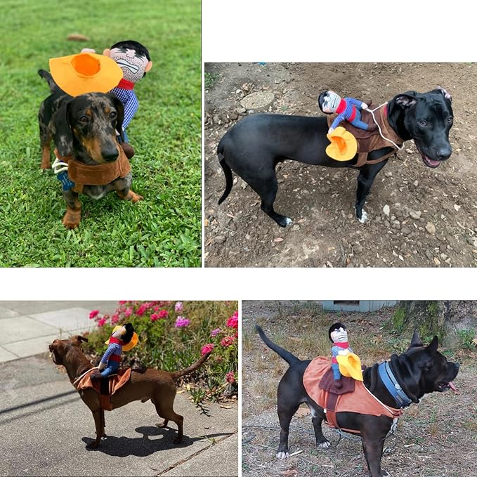 Cowboy Rider Dog Costume for Dogs Outfit Knight Style with Doll and Hat Pet Costume (M)