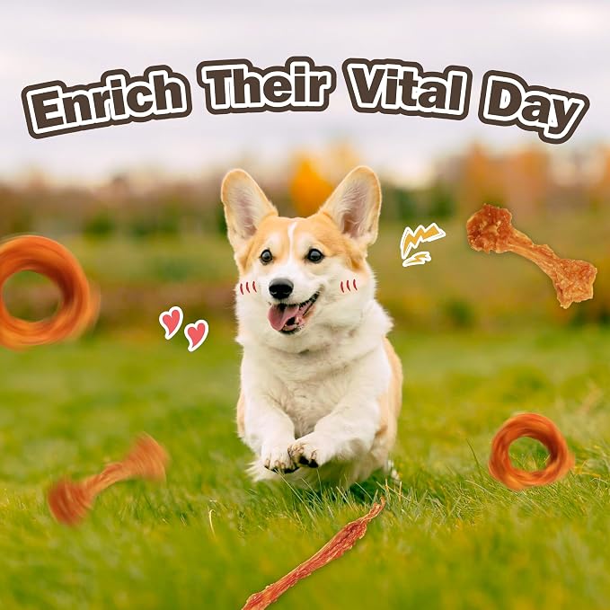 VITADAY All Natural Turkey Tendon Dog Treats, Ring (S), 4-Pack | Long-lasting dog training treats, Rawhide-free made of USA-sourced turkey