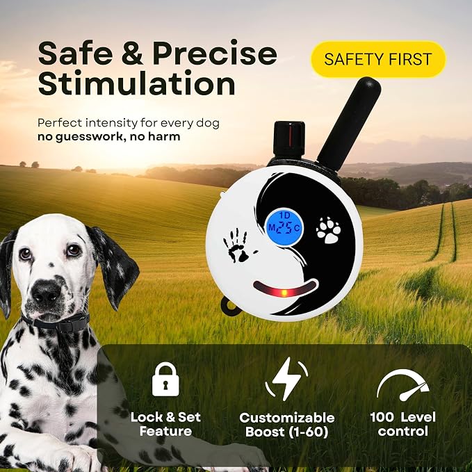 E-Collar ET-300 / ET-302 Dog Training Collar System with Remote - 1/2 Mile Range - Waterproof, Vibration, Sensation - Includes eOutletDeals Pet Towel (1 Dog System - ET-300 Zen)