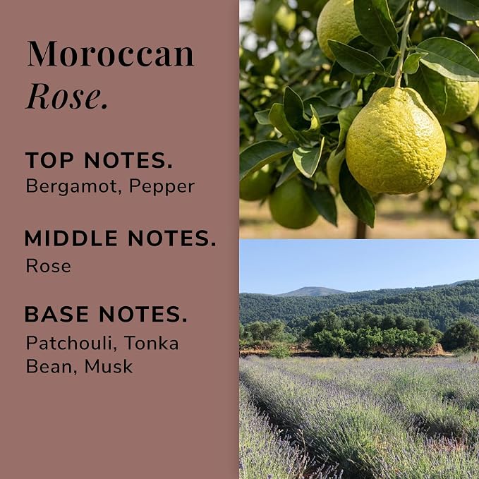 Moroccan Rose Aromatherapy Candle – Rose, Tonka Bean & Musk Scented Candle, Plant-Based Wax, 15.8 oz, 60 Hour Burn Time, Floral & Musky Candle