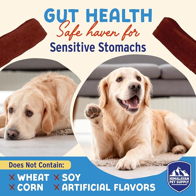 Himalayan Dog Chew Yogurt Sticks, Probiotic Dog Treats, Cranberry, 5 Treats | Dog Chews With Prebiotics, Probiotics & Protein, Digestive Support, Lactose & Gluten Free, Natural Dog Treats for All Breeds