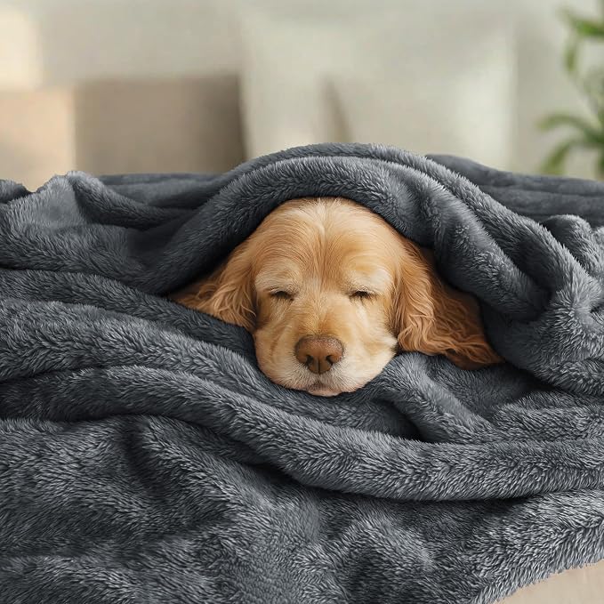 Exclusivo Mezcla Fuzzy Plush Fleece Bed Blanket Twin XL Size, Dark Grey | 90x66 Inches, Super Soft and Cozy Bed Blanket, Fluffy Blanket for Bed, College Dorm Room Essentials, All Season