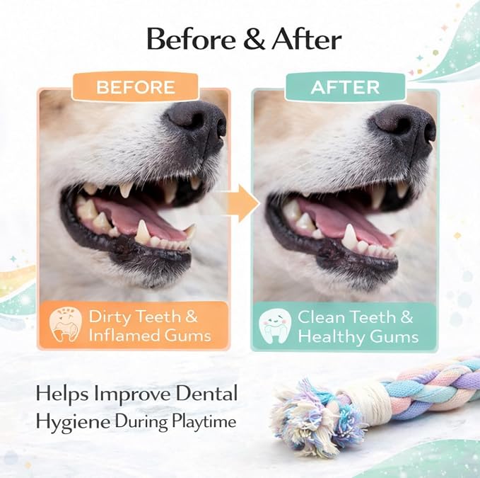 Dog Rope Toy – Eco-Friendly Durable Cotton Dog Chew Toy for Aggressive Chewers & Puppies – Interactive Molar Teeth Cleaning,(12in), Safe, Non-Toxic, Fun Play