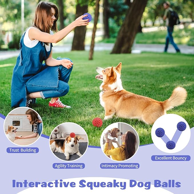 HIPPIH Indestructible Squeaky Dog Toys, Interactive Dog Balls 2 Pack