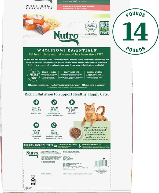 Nutro Wholesome Essentials Adult Dry Cat Food, Salmon & Brown Rice, 14 lb | Real salmon #1 ingredient, Omega-6 for skin & coat, prebiotic fiber for digestion, Vitamin E & Selenium antioxidants