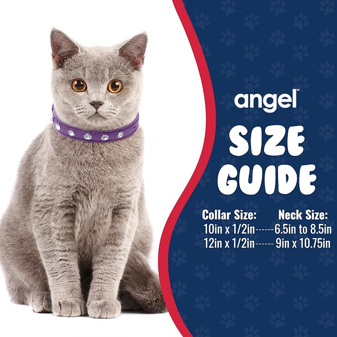 Athens Cat Collar, Leather Kitten Collar w/Rhinestones, Sturdy Breakaway Cat Collar with Bell & Elastic Stretch, bCat Accessories, Orchid Purple, 10 x ½ inches - Angel Pet Supplies