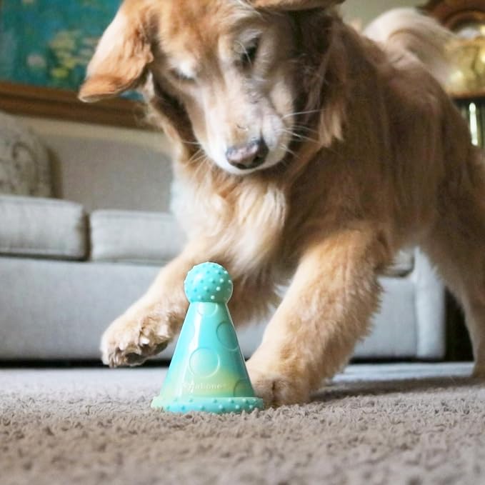 Nylabone Power Chew Party Hat Dog Treat Toy, Peanut Butter Flavor, Large