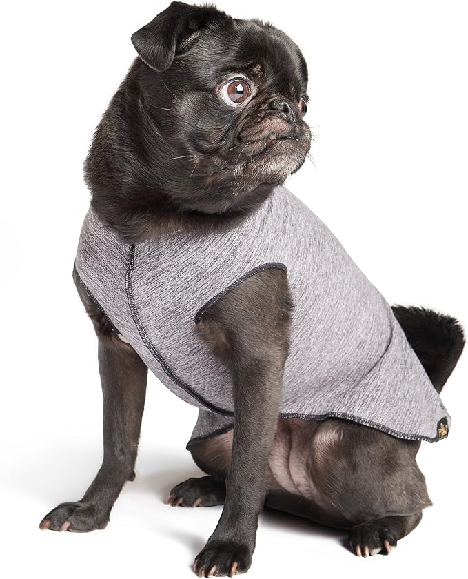 Sun Shield Dog Tee – T-Shirt for Canines – UV Protection, Pet Anxiety Relief, Wound Care – Protects Against Foxtails, Aids Alopecia - Machine Washable, All Season – Size 2 – Grey