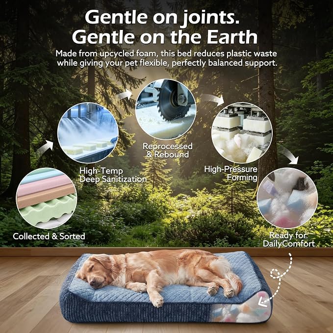 JOEJOY Orthopedic Dog Bed Medium Sized Dogs, Extra Thick Supportive Big Dog Couch Bed with Sides, Ultra Soft Pet Bed Sofa, Blue, 35''x25''