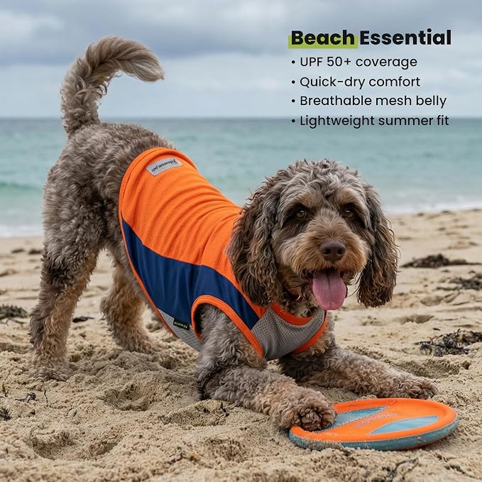 Fitwarm 2 Pack UPF 50+ UV Sun Protection Dog Shirt, Quick Dry Summer Dog Clothes for Small Dogs Boy Girl, Reflective Label, Lightweight Breathable Cooling Vest, Pet Cat Outfit, Orange, Blue, XXL