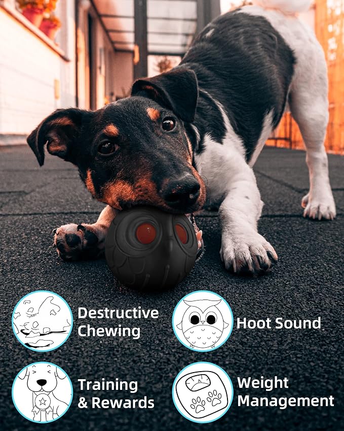 Mewlmart Giggle Ball for Dogs Owl Dog Toys for Aggressive Chewers Gift for Dog Natural Rubber Ball Cute Owl Hoot Medium Large Dog (Demon)