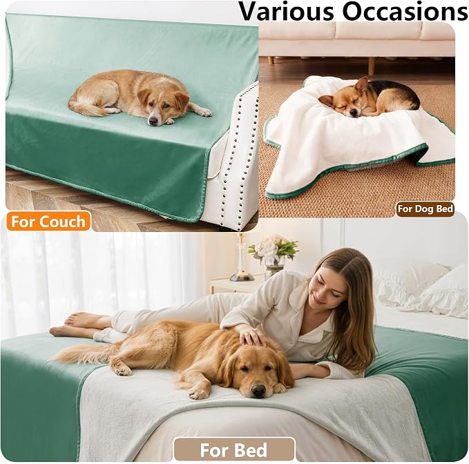 Waterproof Blanket - Reversible Dog Throw as Furniture Protector | Soft Velvet & Flannel, TPU Leak-Proof Liner, Machine Washable, Fits Couch and Bed, 82" x 120", Green/Cream