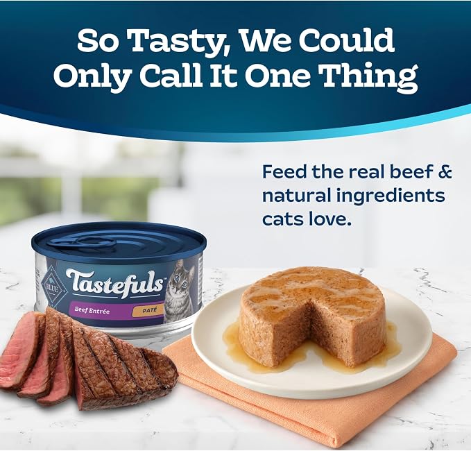Blue Buffalo Tastefuls Beef Paté Wet Cat Food, 5.5 oz, 24 ct | Real Beef First, Paté Style, No Chicken By-Product, Corn, Wheat, or Soy