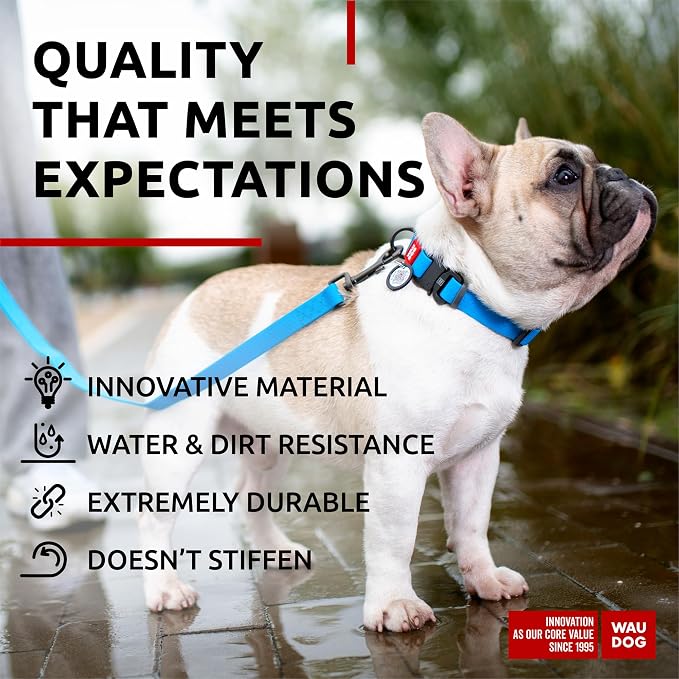 WAUDOG Waterproof Dog Collar Airtag Holder QR Tag Small Medium Large Dogs | Water and Dirt Resistant, Quick Dry QR Pet Tag Adjustable Durable Comfort for Male and Female Dogs Outdoor Walking Training