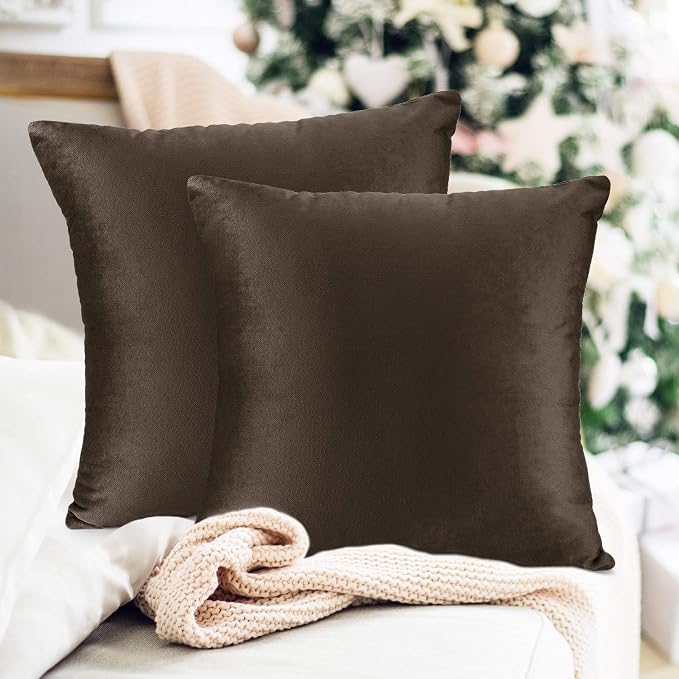 Throw Pillow Inserts Pack of 2 with Velvet Soft Solid Decorative Square Throw Pillow Covers Set for Sofa Couch Car Bedroom, 26X26 Throw Pillows Inserts with 24x24 Washable Cushion Covers, Dark Brown