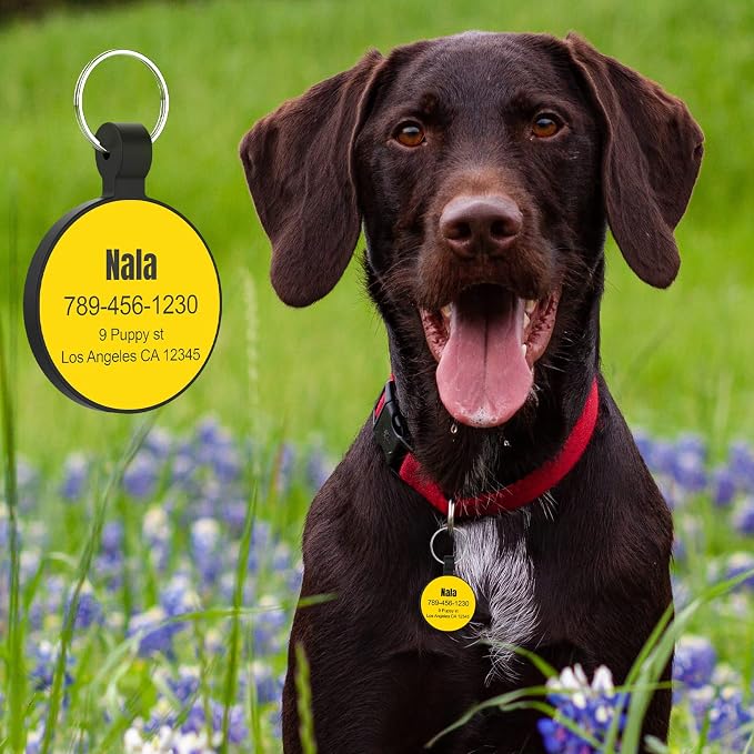 MYLUCKYTAG Silent Silicone QR Code Pet ID | Personalized Dog & Cat Collar Tag | Online Profile with Scanned Location Alert Email