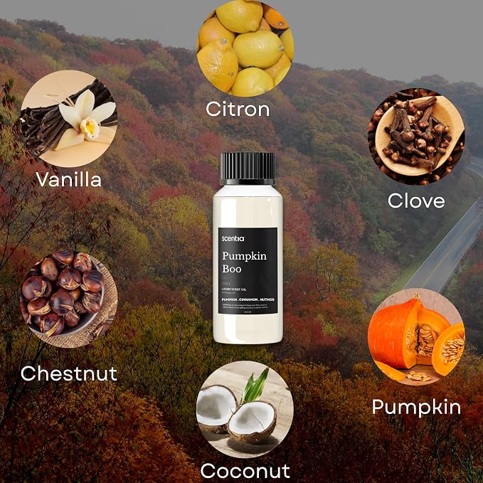 Scentia Pumpkin Boo Fragrance Oil for Diffusers – Pumpkin Spice Vanilla Home Fragrance Oil for Aromatherapy, Candle Making & DIY Projects – Warm Sweet Gourmand Scent Oil – 120 ml