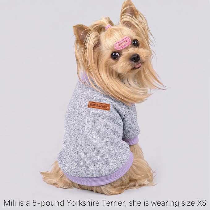 1 Pack Dog Sweaters for Small Dogs Girl Boy Winter Fleece Clothes Warm Soft Dog Sweatshirt Outfit for Dogs Cats Pet Apparel