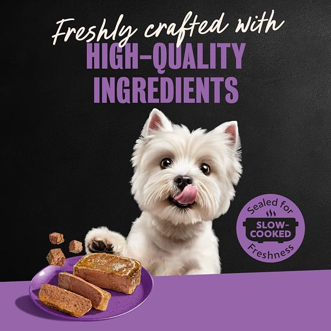Cesar Classic Loaf in Sauce Wet Dog Food, Filet Mignon, 3.5 oz, 24 Count | Made in USA, Real beef #1 ingredient, no fillers/added sugar/artificial flavors, use as meal or topper, easy peel trays