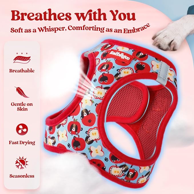 rabbitgoo Dog Harness Small Sized and Leash Set, Step-in Puppy Pet Vest | Light, Soft, Breathable Air Mesh, Easy on and Remove with Hook & Loop, Secure Reflective for Walking, Apple Pups S