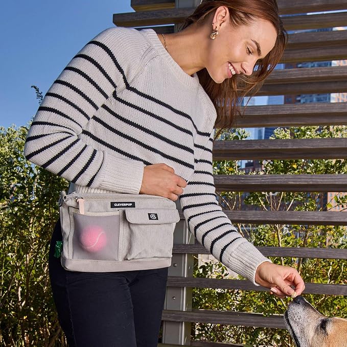 Cleverpup Walk & Train 2-in-1 Dog Walking Bag - Hands-Free, Sand