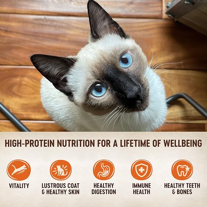 Wellness CORE Tiny Tasters Pate Variety Pack Adult Wet Cat Food, Natural, Protein Rich, Grain Free, Land Recipes, 1.75 oz, Pack of 12 Pouches