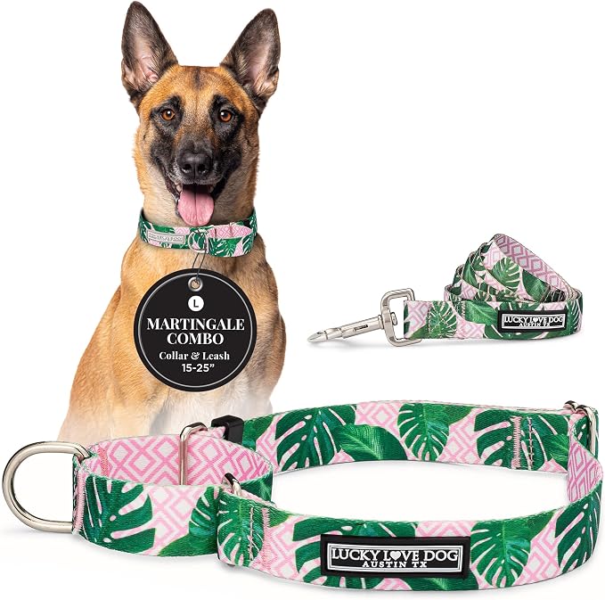 Lucky Love Dog Martingale Collar & Leash Set No Slip Cute – Laguna, Large