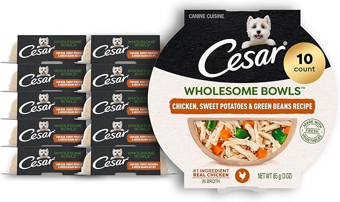 Cesar Wholesome Bowls Wet Dog Food, Chicken & Sweet Potato, 3 oz, 10 Count | Sweet Potato & Green Beans Recipe, real chicken #1 ingredient, slow-cooked, easy to digest, ready-to-serve bowl