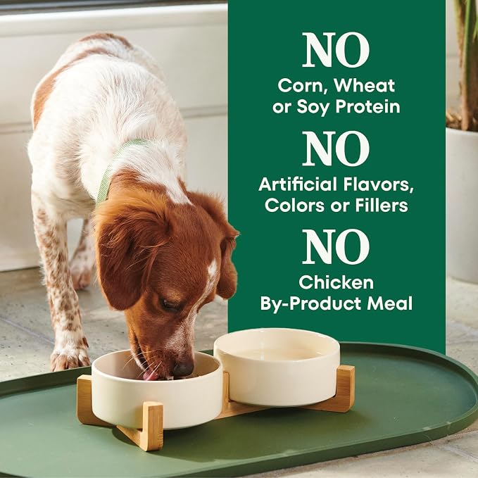 Nutro Natural Choice Small Bites Dry Dog Food, Chicken & Rice, 13 lb | Non-GMO, Real chicken #1 ingredient, no by-product meal/corn, wheat, soy, supports energy, bones, muscles & dental health
