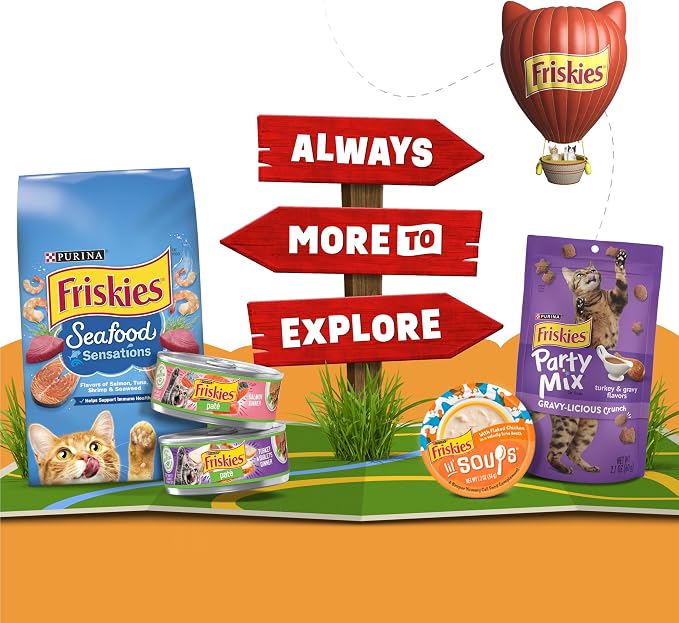 Friskies Purina Grain Free Lickable Cat Food Toppers Lil’ Soups with Sockeye Salmon in Chicken Broth - 1.2 oz. Cups,(Pack of 16)