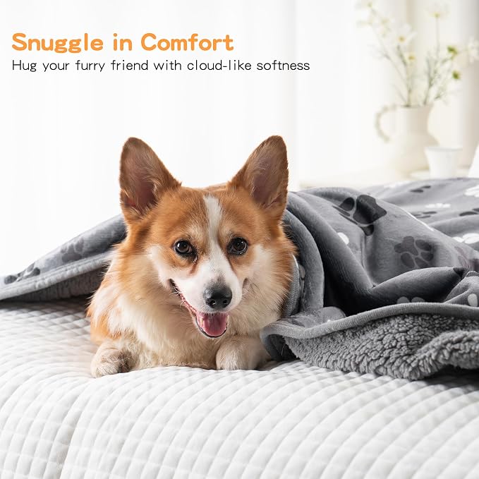 Waterproof Pet Blanket for Small Dogs and Cats 30"x40" | Washable Dog Blanket, Soft Fluffy Sofa Car Bed Protector, Reversible Sherpa Fleece Puppy Blanket, Dark Grey-Paws