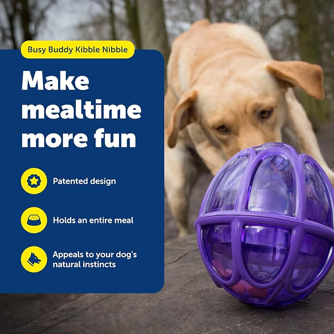 PetSafe Busy Buddy Kibble Nibble Treat Dispensing Dog Toy, Small | Slow Feeder Holds up to 3.5 Cups of Food, Adjustable Prongs Customize Treat Flow, Top-Rack Dishwasher Safe, Dogs Under 20 Lb