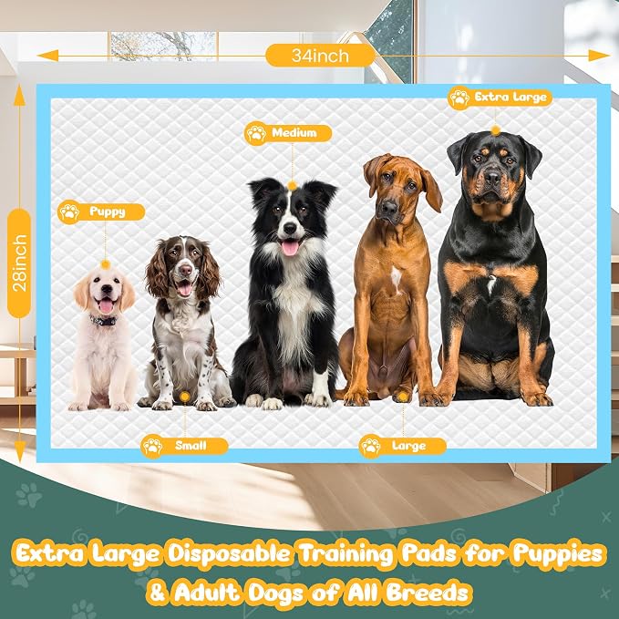 60 Count Extra Large Dog Pee Pads 28" x 34", Super Absorbent X-Large Puppy Pads Disposable Dogs Training Pads, Quick Drying Leak-Proof Dog Potty Pads for Doggies Puppies (Pack of 2)