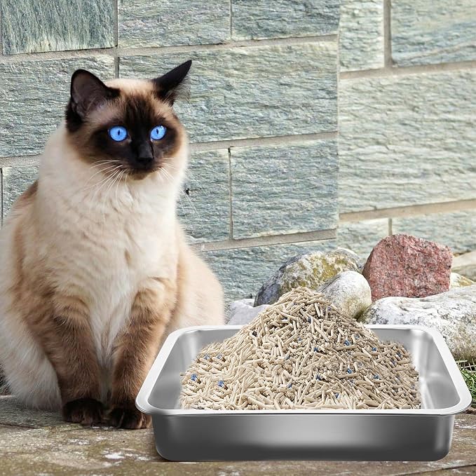 Stainless Steel Cat Litter Tray Open Metal Pan Kitten Toilet with Stable Bottom for Easy pet Housebreaking