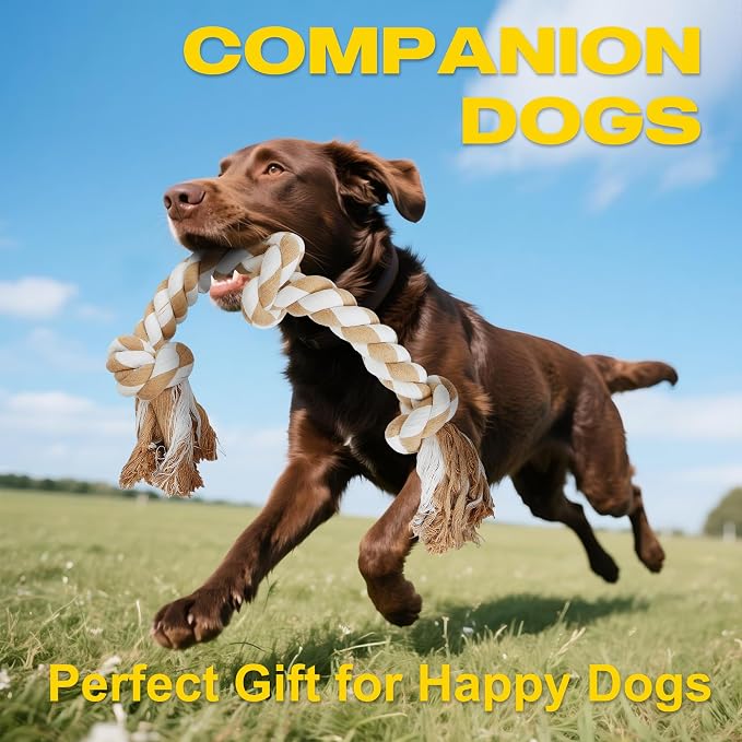 Fida Dog Rope Toys for Medium Large Dogs, Chew Toys for Aggressive Chewers