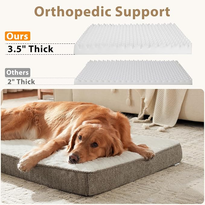 JOEJOY Orthopedic Dog Bed for Large Dogs, Washable Dog Crate Bed Large Sized with Removable Cover, Egg Memory Foam Big Pet Beds, Beige, 35"x22"