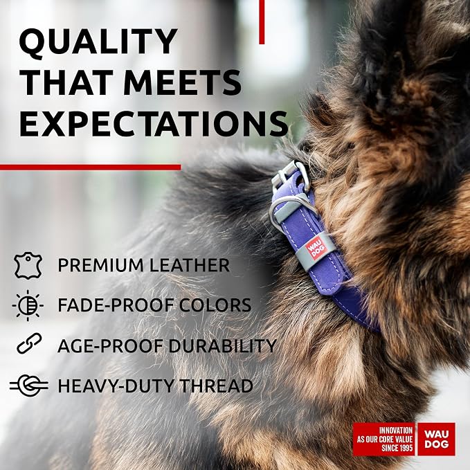 WAUDOG Long Lasting Leather Dog Collar for Large Dogs, Medium & Small Dogs - Adjustable Classic Puppy Collars for Large Breed Dogs - Boy & Girl Dog Collars with Durable Buckle, D-Ring & QR Dog Tag