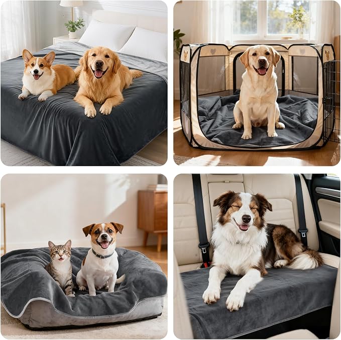 LOOBANI Waterproof Dog Blanket for Small Dogs, Pet Blanket 30" x 40", Grey | Double Side Liquid-Proof, Puppy Blanket for Dog Cat Bed, Crate, Playpen, Reversible Soft Flannel Couch Cover Throw