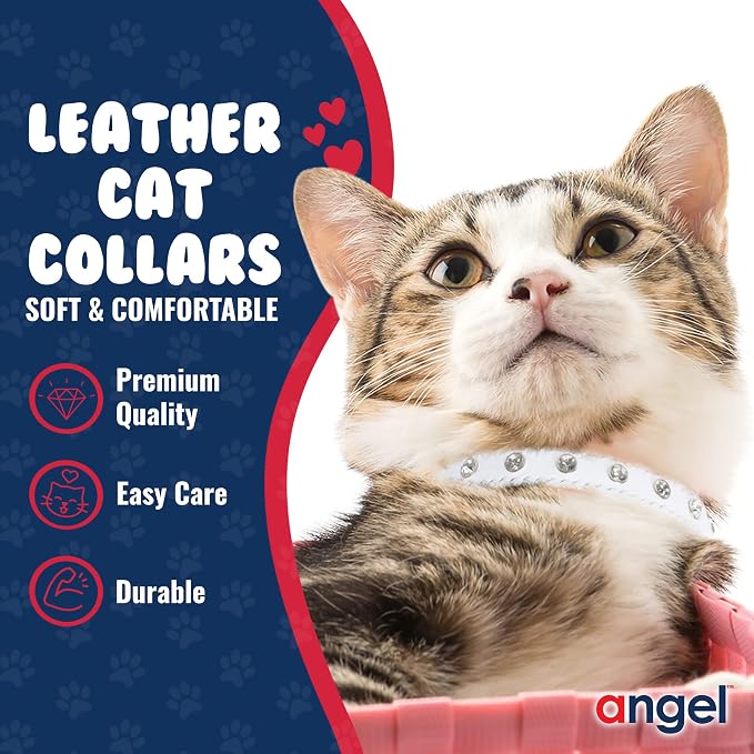 Athens Cat Collar, Leather Kitten Collar w/Rhinestones, Sturdy Breakaway Cat Collar with Bell & Elastic Stretch, Cat Accessories, Ivory White, 10 x ½ inches - Angel Pet Supplies