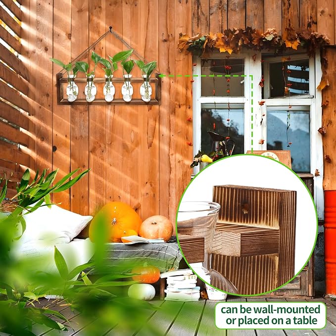 Plant Terrarium Propagation Stations Halloween Skull Planter Vase Skulls | decor With Wooden Stand Gife for Father - 5 Vases