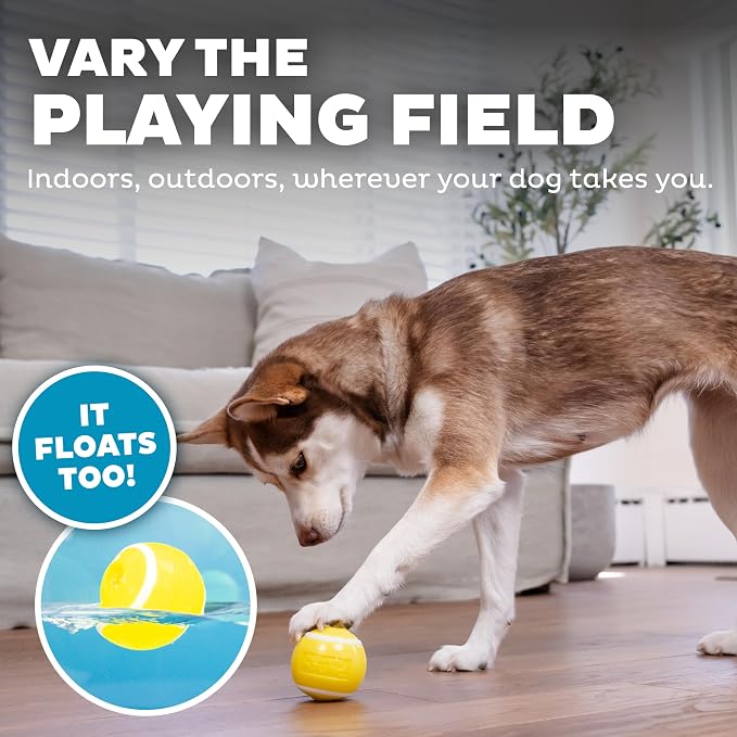Outward Hound by Planet Dog Sport Ballz Tennis Ball Treat-Dispensing Fetch Ball Dog Toy (Pack of 2)