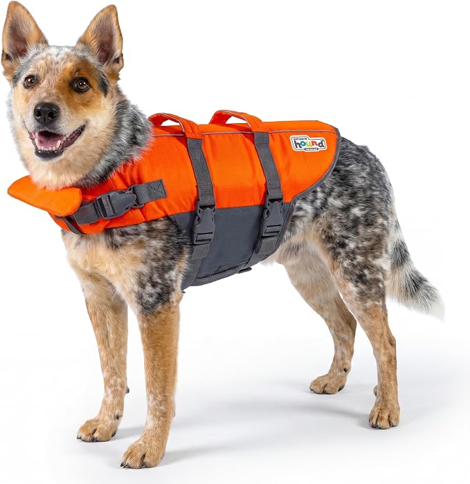 Outward Hound Granby Splash Dog Life Jacket, Life Vest, Orange, Medium | Max Buoyancy, Adjustable Fit, Head/Neck Support, Rescue Handle, Reflective, Swimming & Boating, Medium Dogs (21–27" Girth)