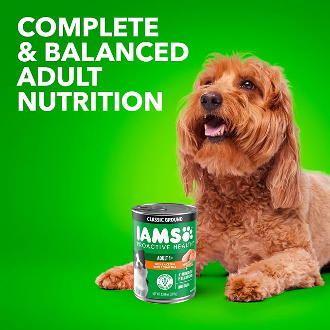 IAMS Proactive Health Ground Wet Dog Food, Chicken, 13 oz, 6-Pack | Made with real chicken, Omega-6 for skin & coat, no fillers or artificial flavors, 100% complete & balanced adult maintenance