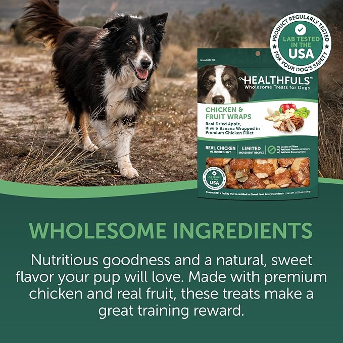 Healthfuls Chicken Wrapped Fruit Dog Treats, 16oz | Dried Apple, Kiwi, & Banana, Real Chicken Breast, Rich In Antioxidants, No Artificial Colors, Training Treat, For All Breeds