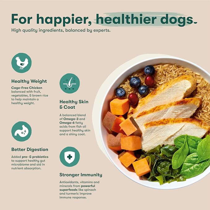 Jinx Puppy Dry Dog Food - Real Chicken, Brown Rice & Sweet Potato, 30lb | Premium Puppies Food with DHA, Protein & Calcium for Brain Health - Probiotics for Digestive Support - No Fillers