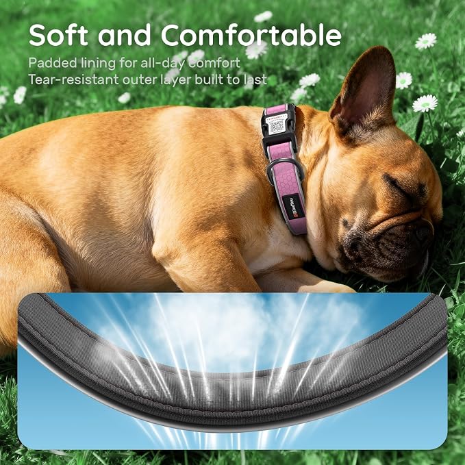 Personalized Dog Collar with QR Code Dog Tag, Oxford Pink M | Anti-lost, Oxford, reflective, padded, XS-L(8"-24"), QR buckle shares lost pet profile, location alerts when scanned, No Fees