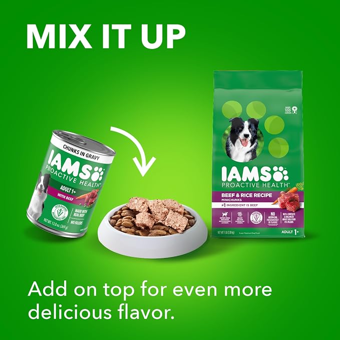 IAMS Proactive Health Wet Dog Food Adult, Canned Dog Food, Beef, Rice, Carrots & Green Beans Chunks in Gravy, 13 oz. Cans 12 Count (Pack of 2)