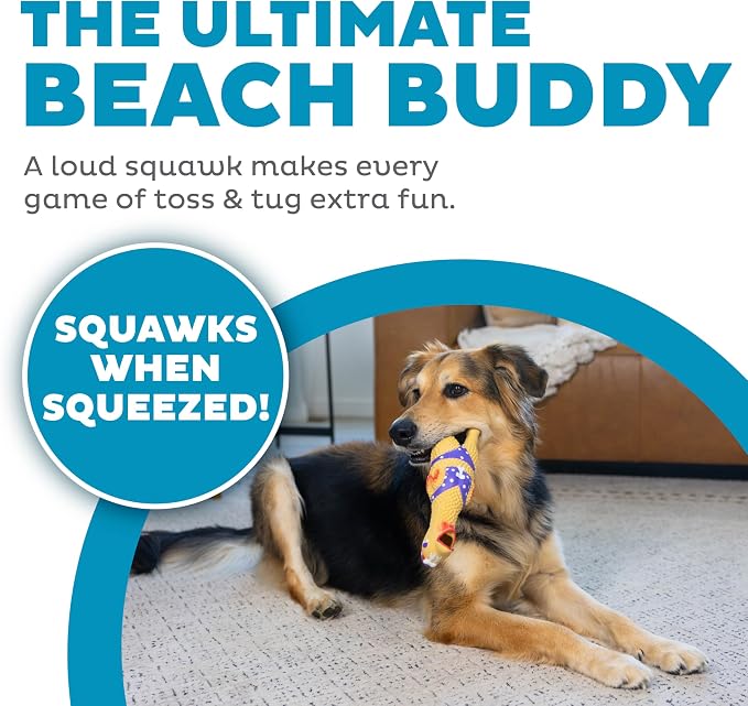 Outward Hound Squawkers Squeaky Latex Dog Toy, Henrietta, 11"